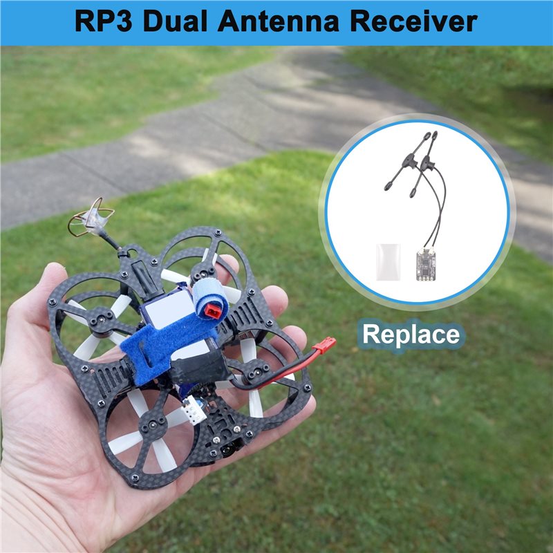 BEDW-RP3 Dual-Antennen-Empfäng – Antenna 2.4Ghz Bewertung und Preis