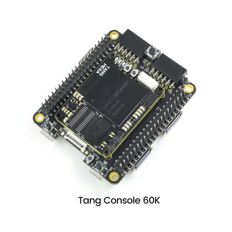 Für Tang Console 60K Mini FPGA – Perfboard Bewertung und Preis